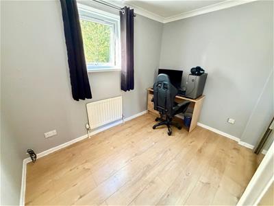 Picture 16